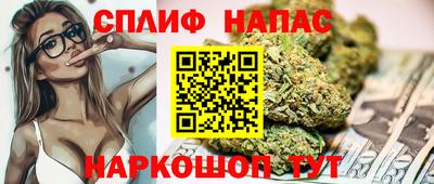 МДПВ Пенза