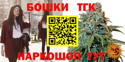 МДПВ Пенза