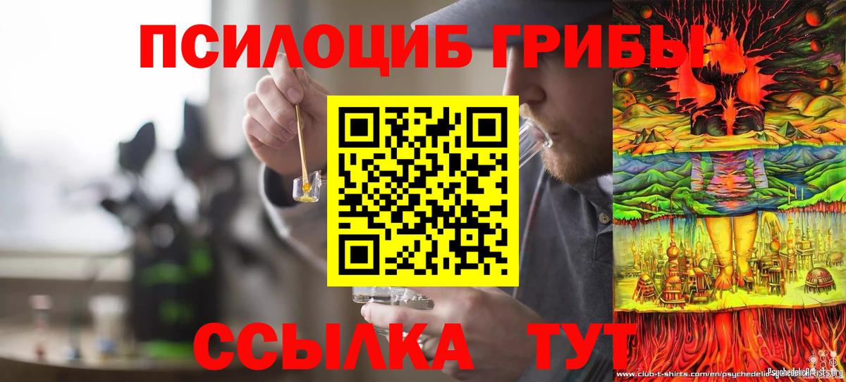 Псилоцибиновые грибы ЛСД Ртищево
